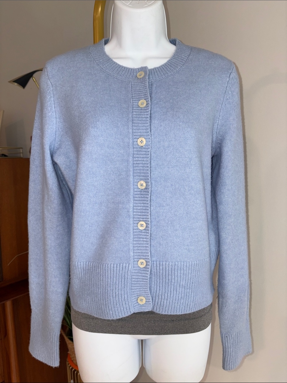 aerie Pastel Blue Button-Up Crewneck Cardigan